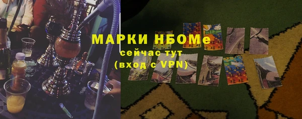 гашик Осташков